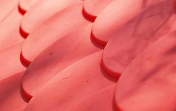 Ugford plastic roof costs