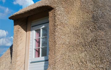 Ugford thatch roof disadvantages